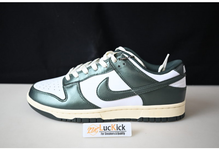 nike dunk sb low pro dq8580-100