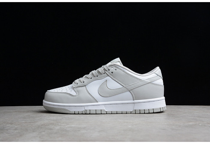 nike dunk low retro  dd1391-103