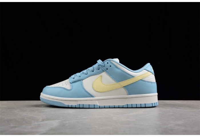 nike sb dunk low   dd1503-123