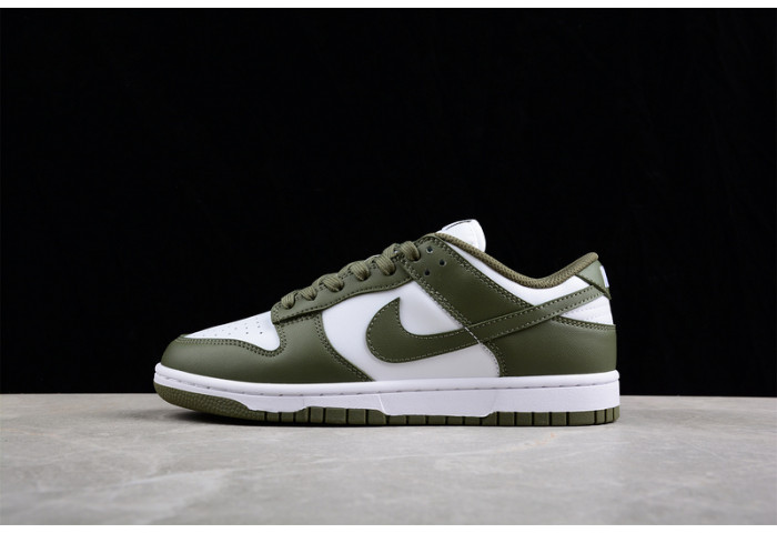nike dunk low  dd1503-120