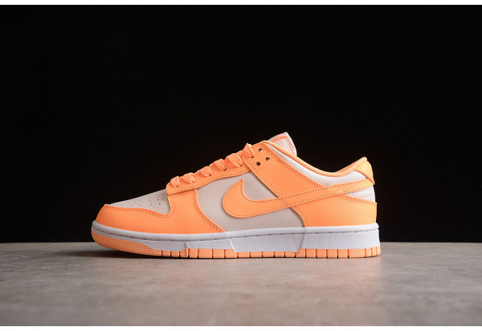 nike sb dunk low  dd1503-801
