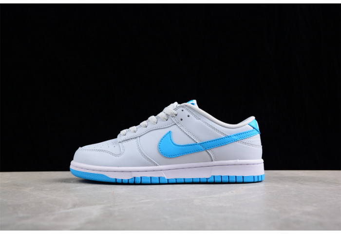 nike sb dunk low  dv083--100
