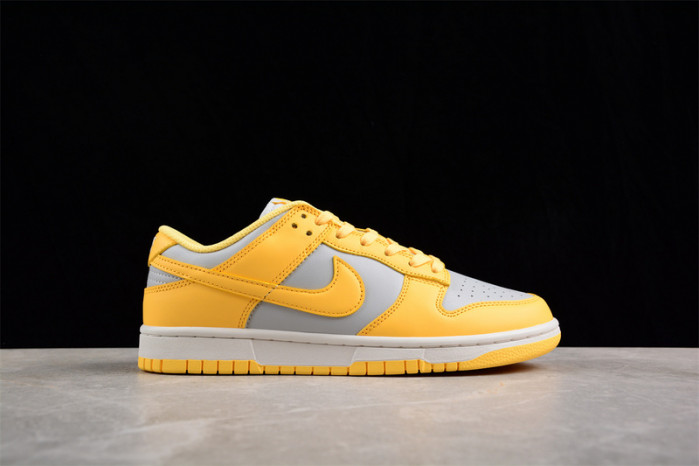 nike sb dunk low  dd1503-002