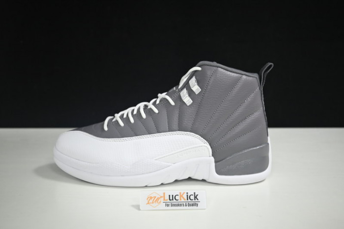 air jordan 12 stealth  ct8025-610