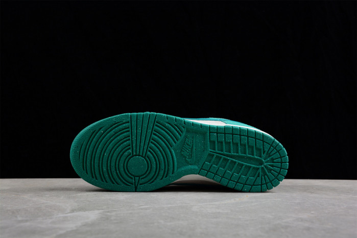 nike sb dunk low  do9457-101