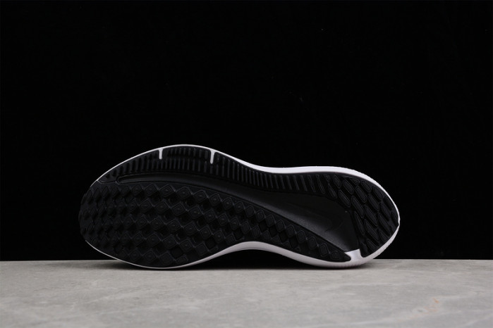 nk zoom winflo   dd6203-001