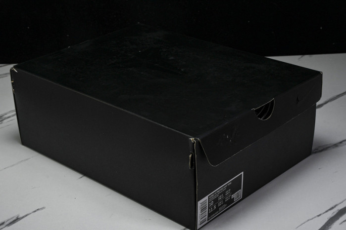 nike zoom kobe 6 protro 