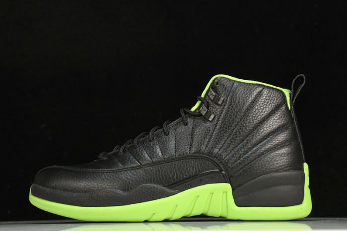 air jordan 12   dr8887-1012