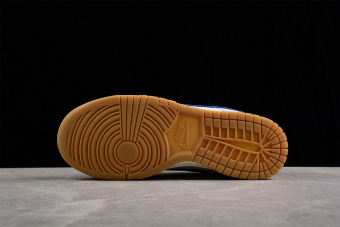 nike dunk low dx3198-133