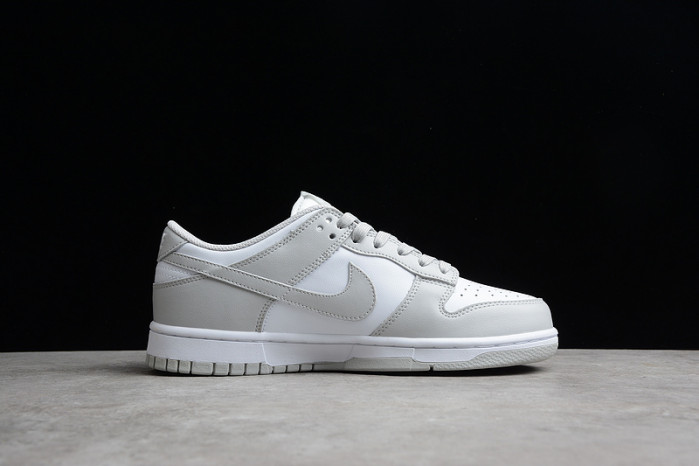 nike dunk low retro  dd1391-103