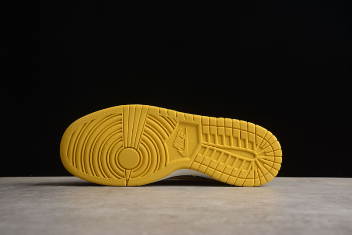 nike sb dunk low  lf2428-002