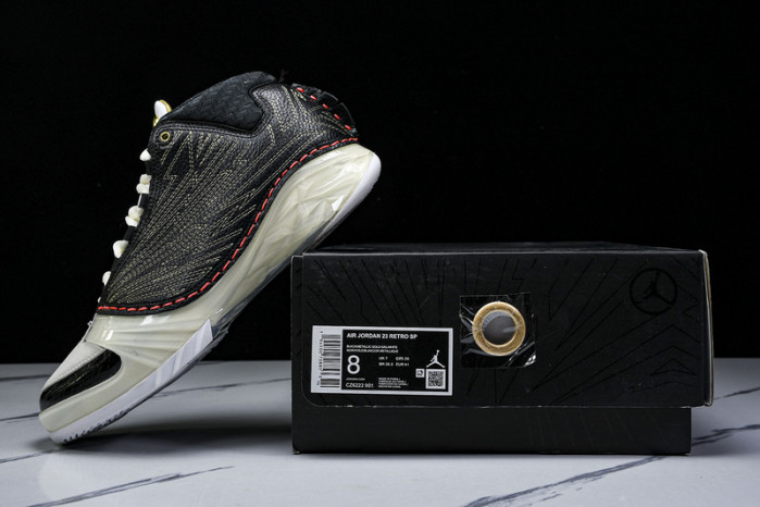 Titan x Air Jordan 23 CZ6222-001