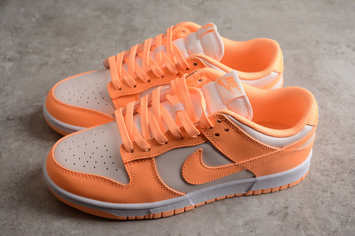 nike sb dunk low  dd1503-801