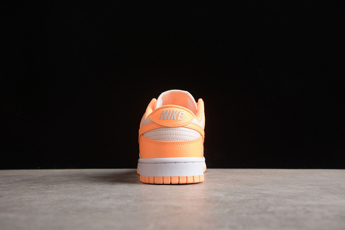 nike sb dunk low  dd1503-801
