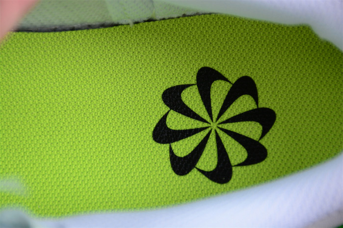 nike sb dunk low   dn1431--102