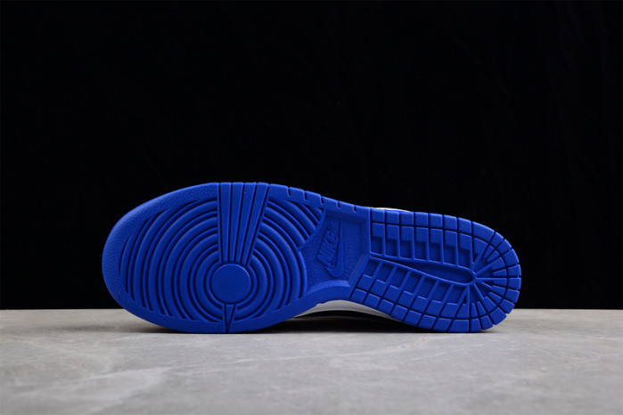 nike sb dunk low  dr6190-100