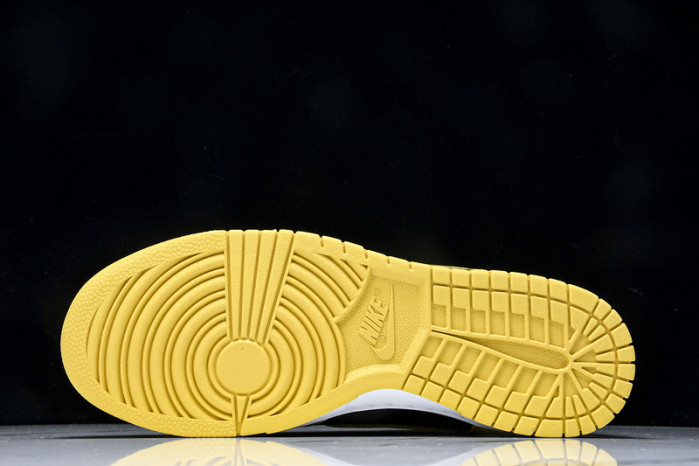 Nike Dunk Low HJ4320-001