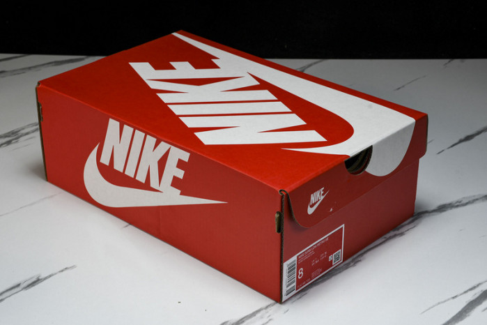 nike dunk low  fj4188-100