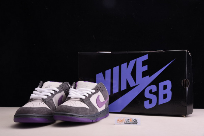 nike dunk sb low purple pigeon 304292-051