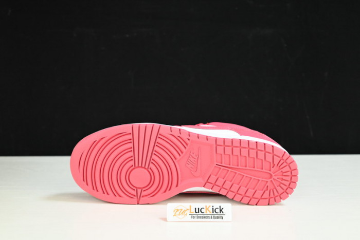 nk dunk low“raspberry red”  dd1503-111