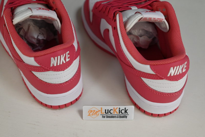 nk dunk low“raspberry red”  dd1503-111