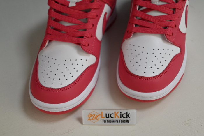 nk dunk low“raspberry red”  dd1503-111