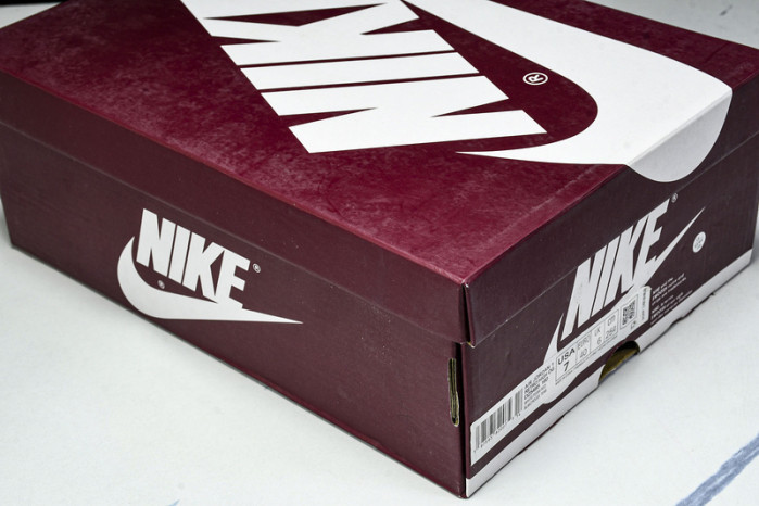 Air Jordan 1 High "Dune Red" DZ5485-160