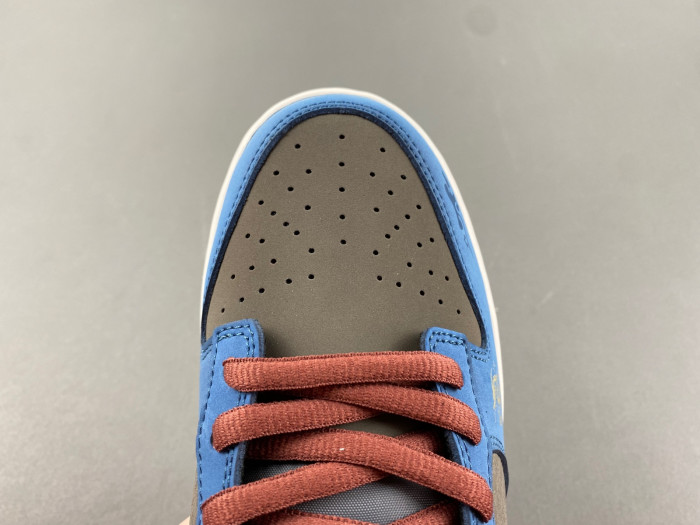 Nike Dunk Low HV6103-300