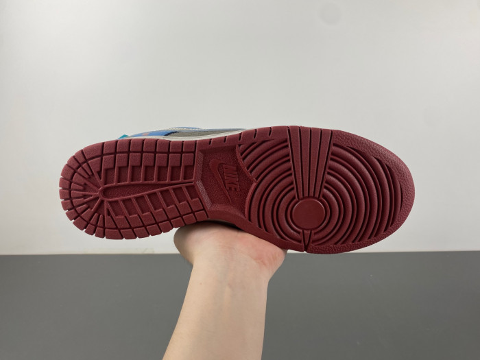 Nike Dunk Low HV6103-300