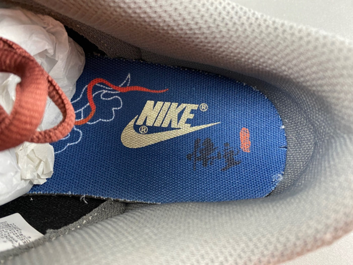 Nike Dunk Low HV6103-300