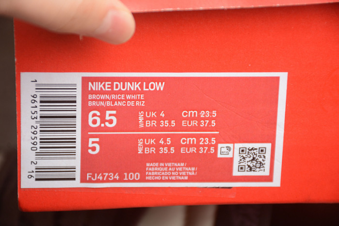 nike sb dunk low  fj4734-100