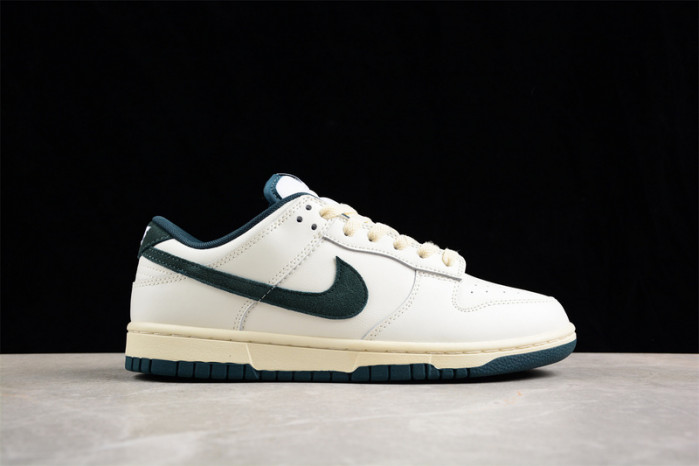 nike dunk low  fq8080-133