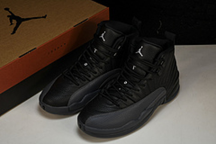 air jordan 12  ct8013-019
