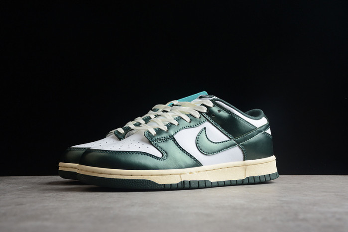 nike dunk sb low pro dq8580-100