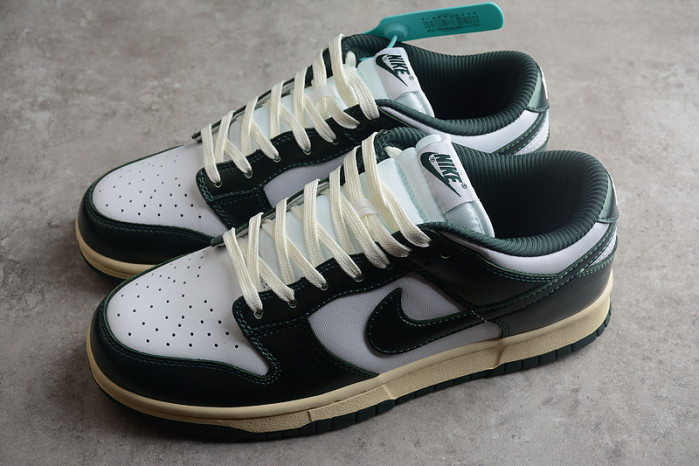 nike dunk sb low pro dq8580-100