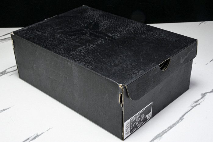 NK Zoom Kobe IX Low Protro "HALO" FZ7334-100