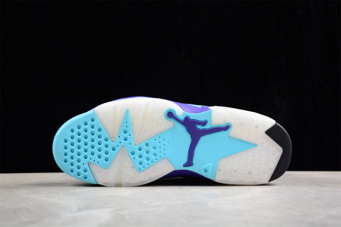 air jordan 6 ct8529-004