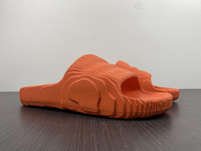 new colleettion 660202