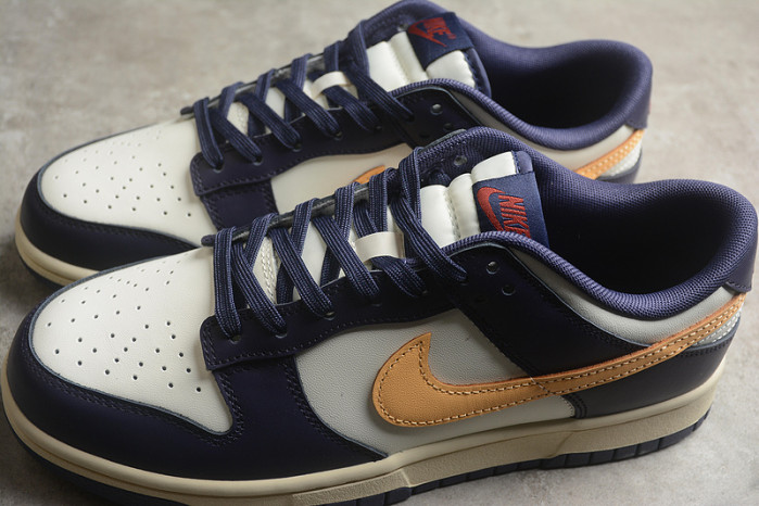 nike dunk low  fv8106-181