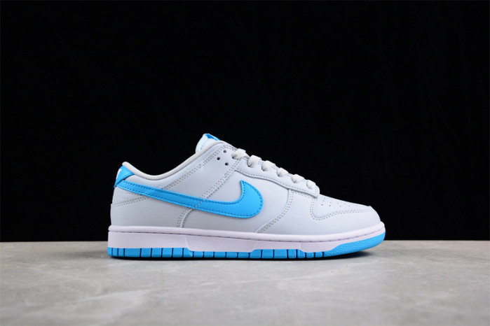 nike sb dunk low  dv083--100