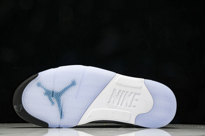 Air Jordan 5 Low HQ7978-100