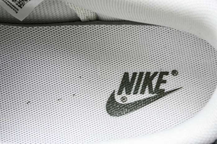 Nike SB Dunk Low & Dior FC1688-226