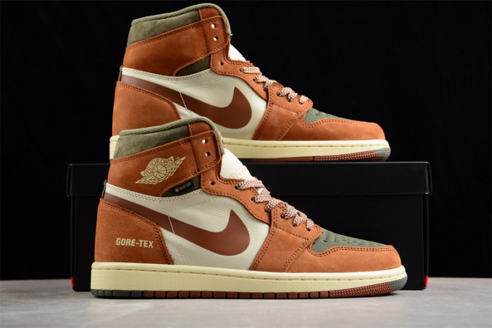 air jordan 1   high    db2889-102