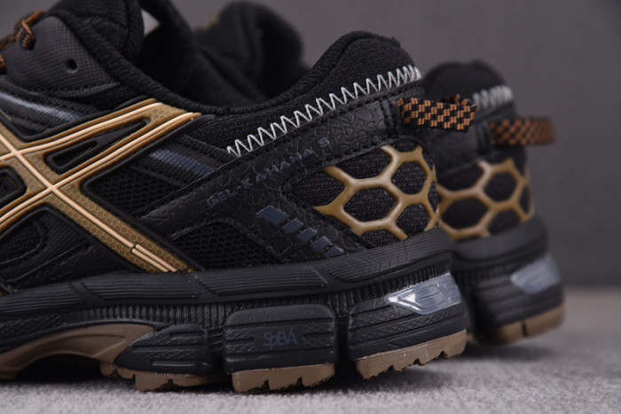 a.*sic*s g*el  1011b133-001