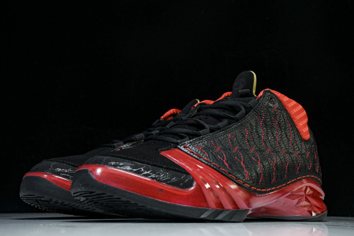 Titan x Air Jordan 23 