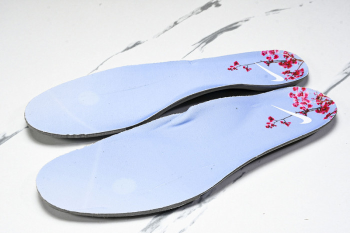 Nike Air Foamposite One “DMV” HJ4187-001